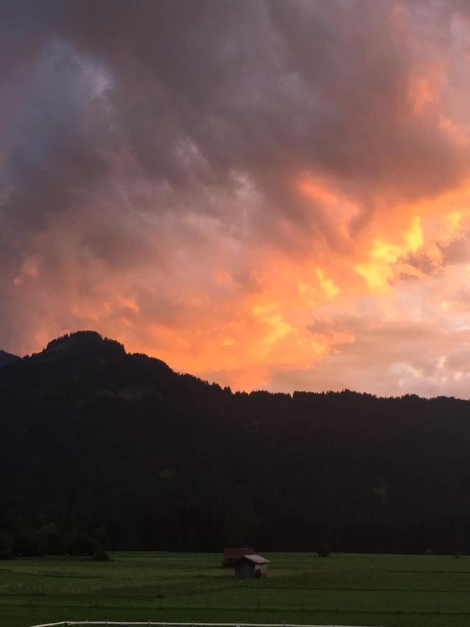 Wiesenblick Oberstdorf Zewnętrze zdjęcie