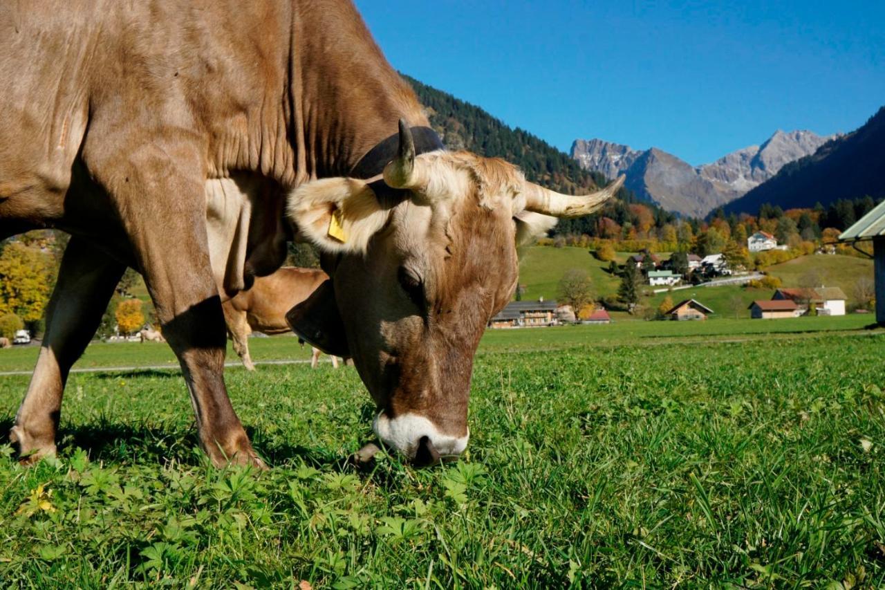 Wiesenblick Oberstdorf Zewnętrze zdjęcie